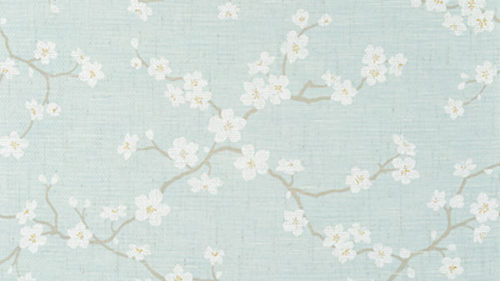 SAKURA T75516